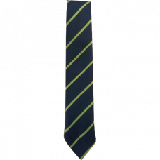 New Lanark Primary Tie